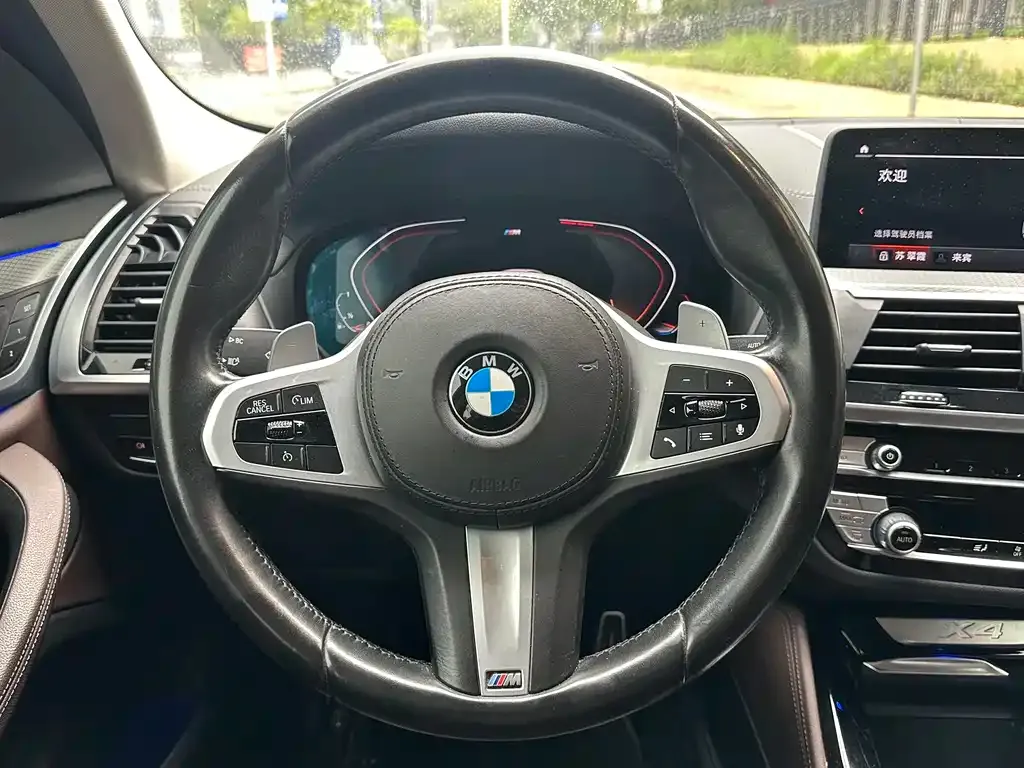 BMW X4 2021 из CN, фото 9