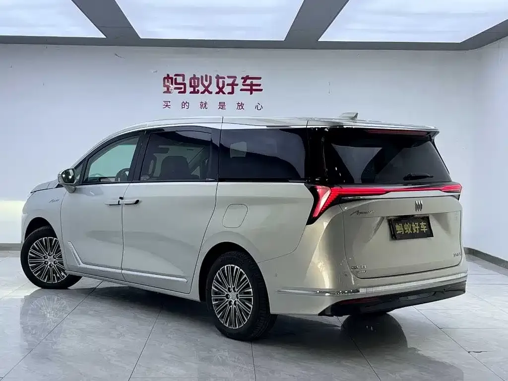 Buick GL8 Hybrid — фото 9