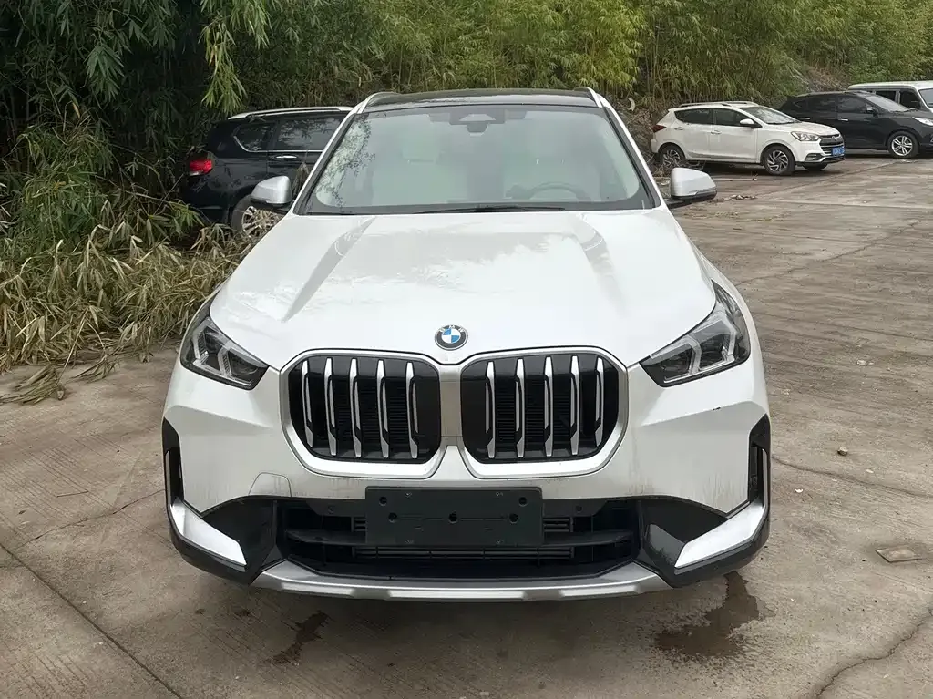 BMW X1 2023 из CN, фото 7