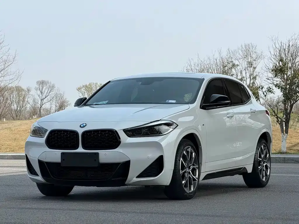BMW X2 2022 из CN, фото 1