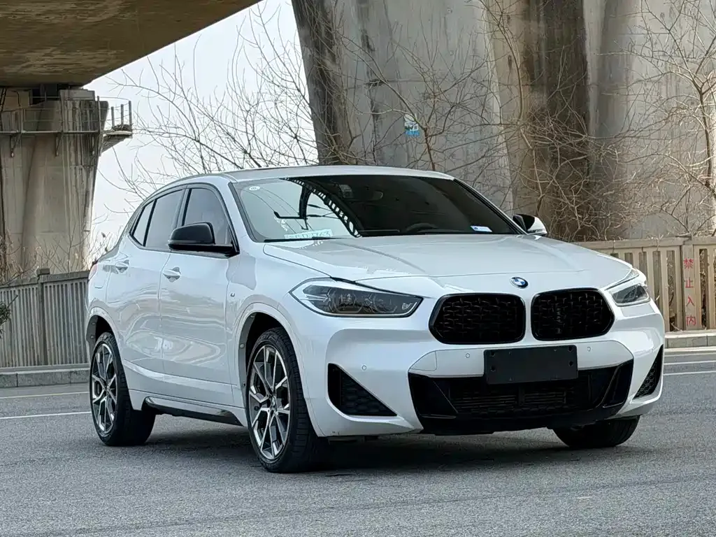 BMW X2 2022 из CN, фото 10