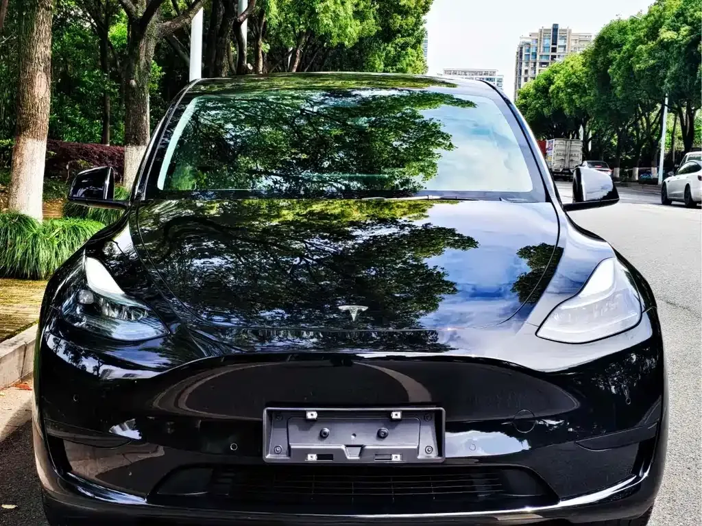 Tesla Model Y — фото 7