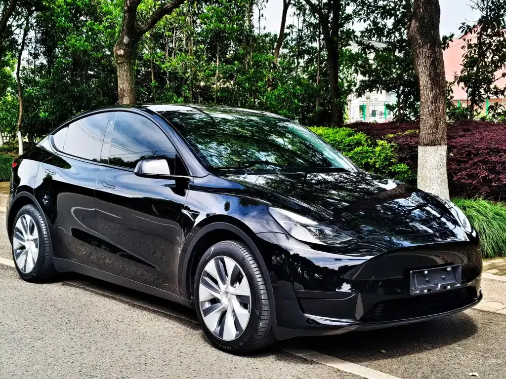 Tesla Model Y — фото 5