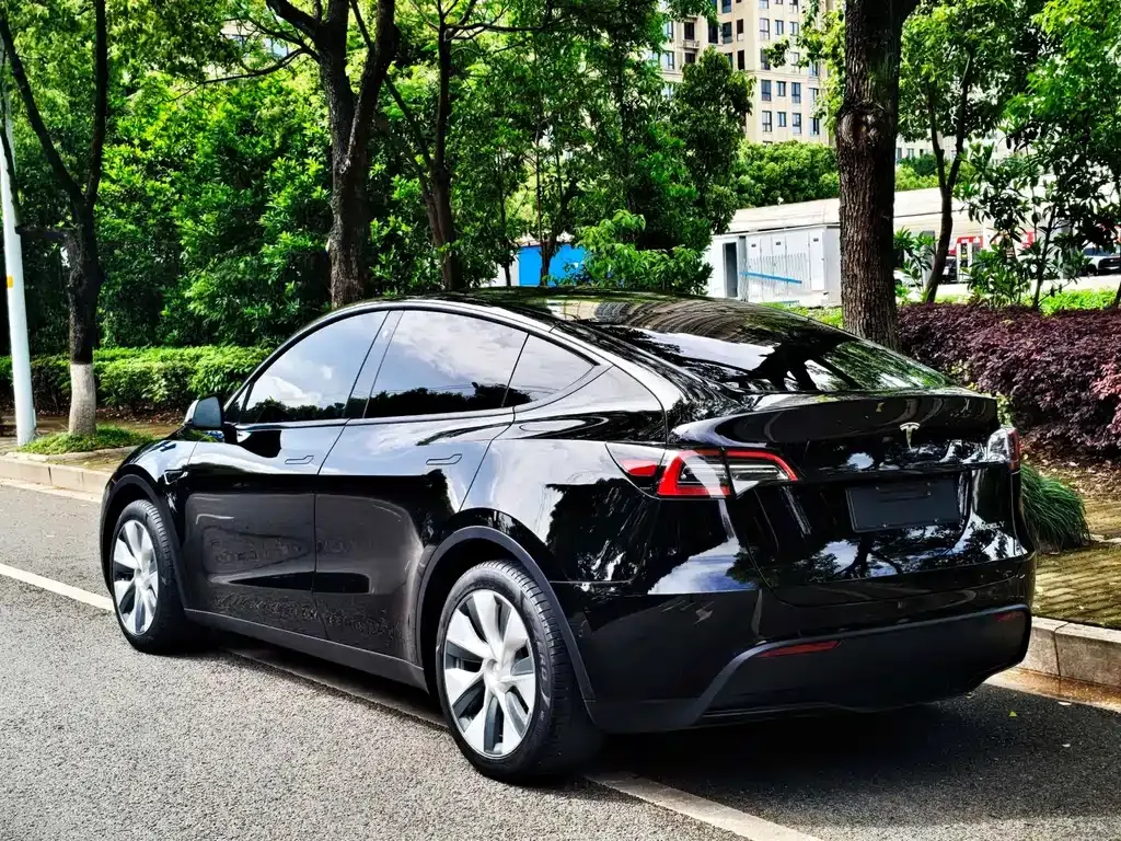 Tesla Model Y — фото 9