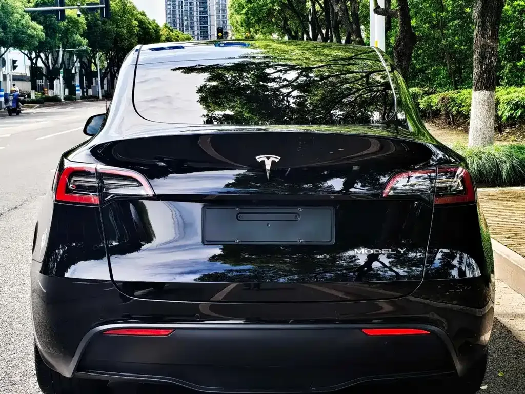 Tesla Model Y — фото 8