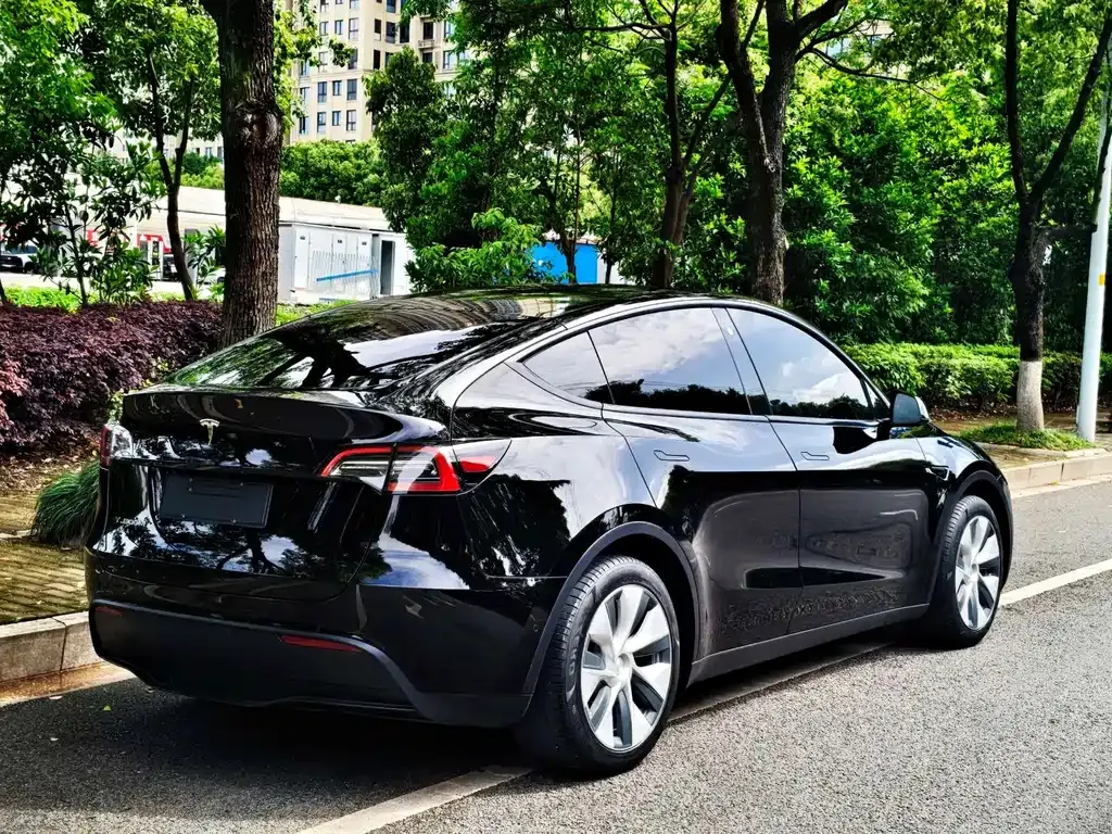 Tesla Model Y — фото 6