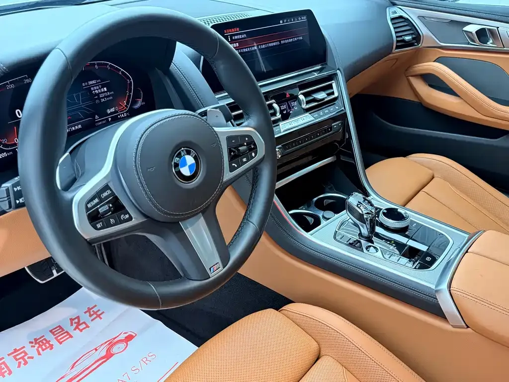 BMW 8 Series 2021 из CN, фото 9