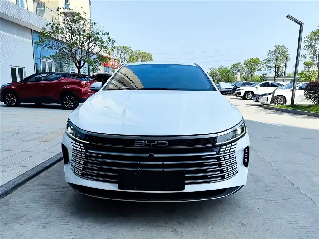 BYD Destroyer 05 2024 из CN, фото 9