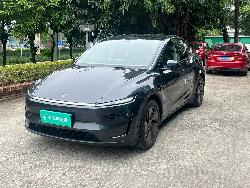 Tesla Model Y — фото 1