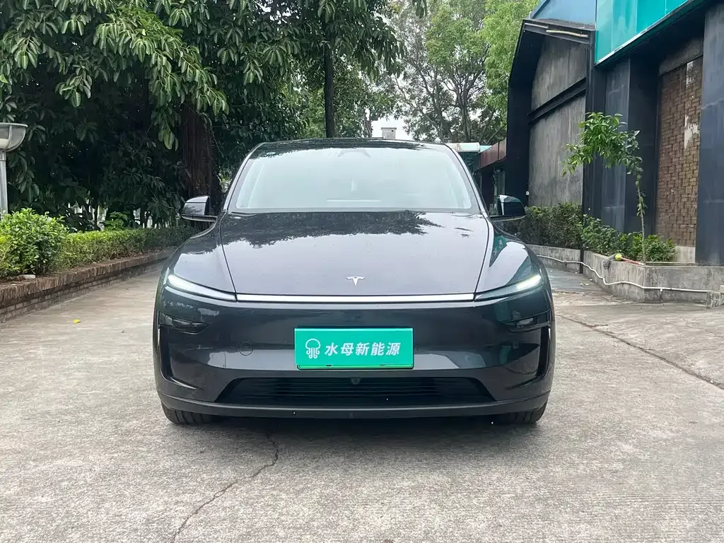 Tesla Model Y — фото 9
