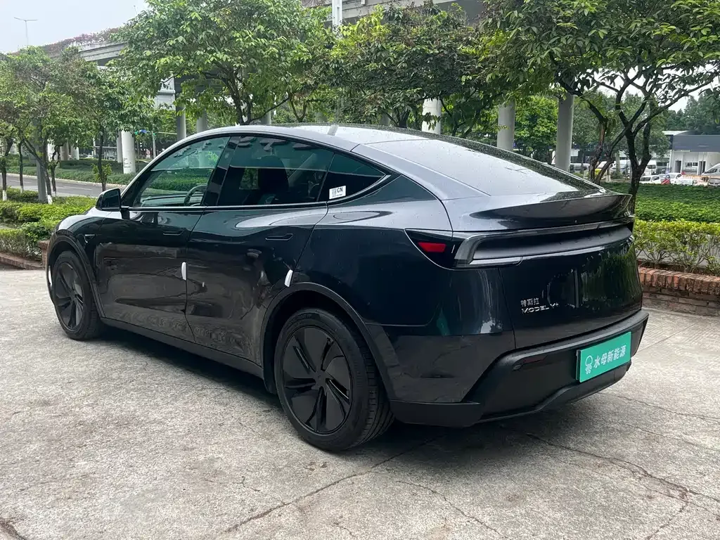 Tesla Model Y — фото 10