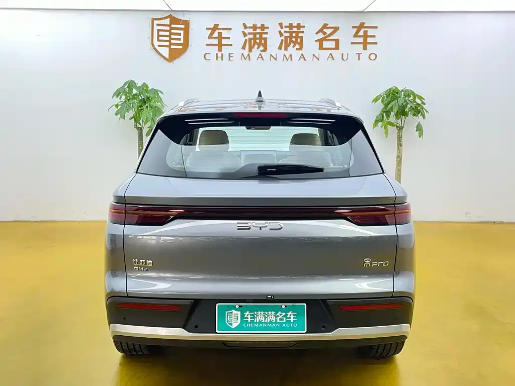 BYD Pro New Energy — фото 7