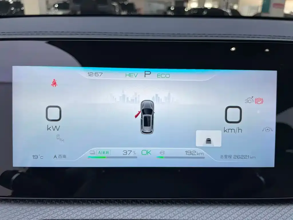 BYD Pro New Energy — фото 2