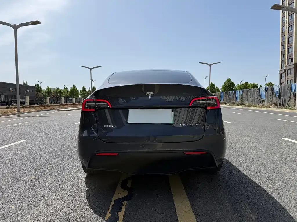 Tesla Model Y — фото 8