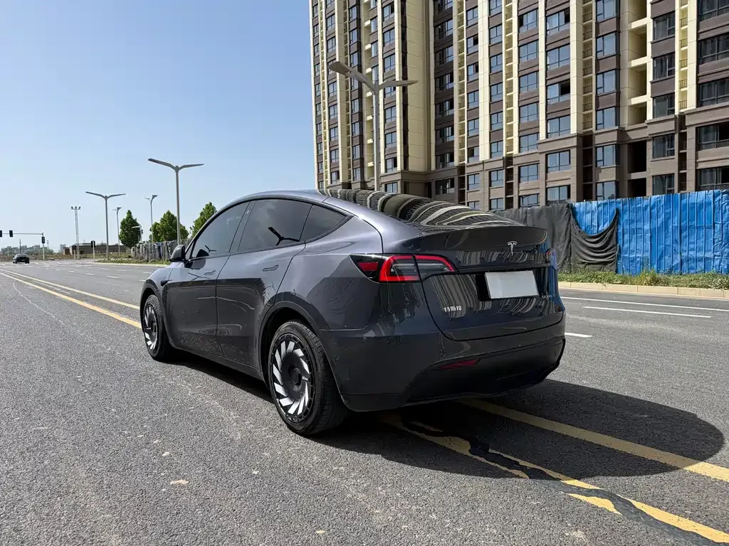 Tesla Model Y — фото 10