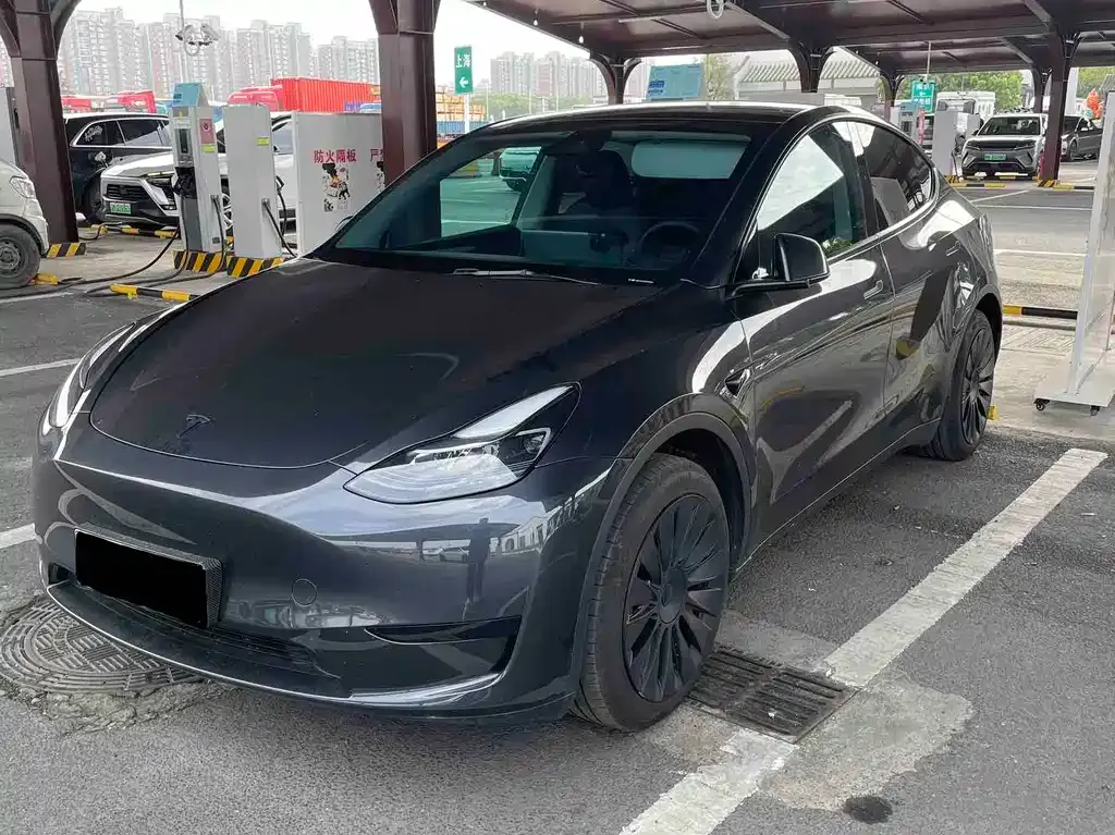 Tesla Model Y — фото 1