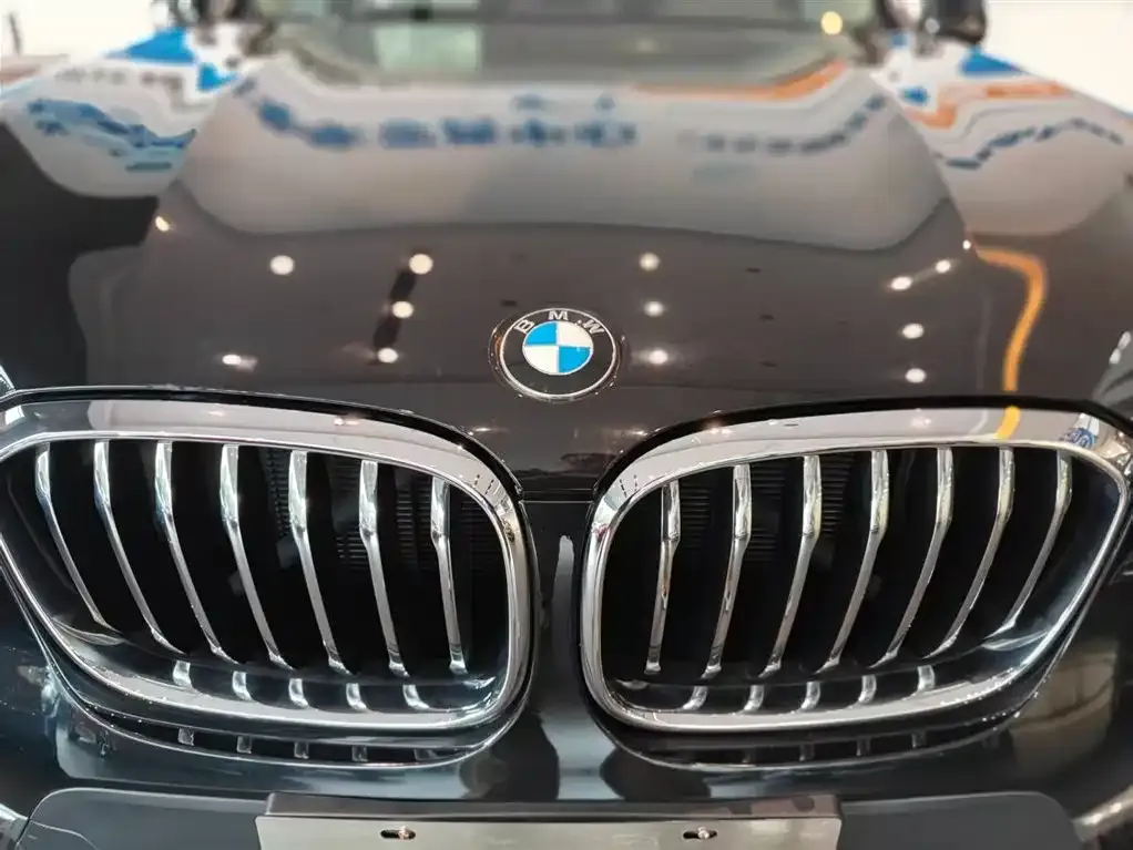 BMW X3 2021 из CN, фото 8
