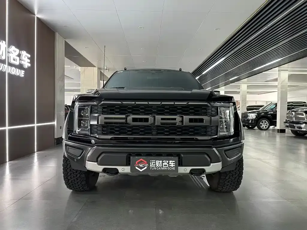 Ford F-150 Raptor — фото 6