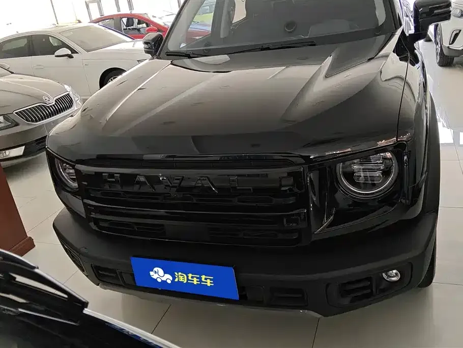 Haval Big Dog 2025 из CN, фото 8