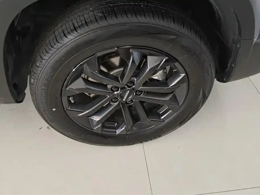 Haval Big Dog 2025 из CN, фото 6