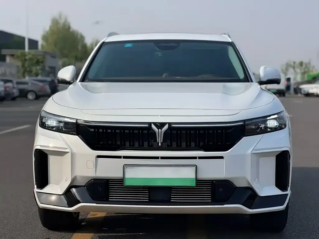VOYAH FREE — фото 6