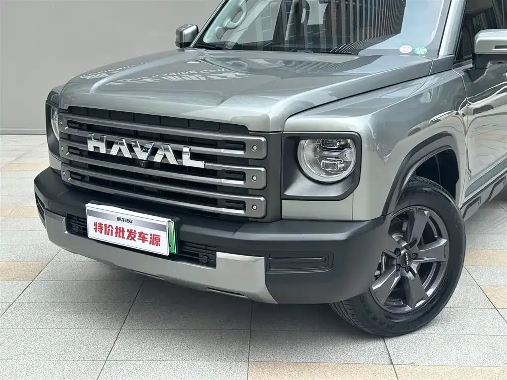 Haval Menglong New Energy 2024 из CN, фото 6
