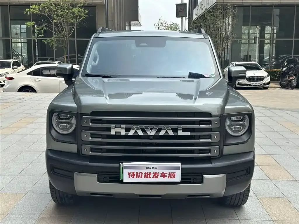 Haval Menglong New Energy 2024 из CN, фото 4
