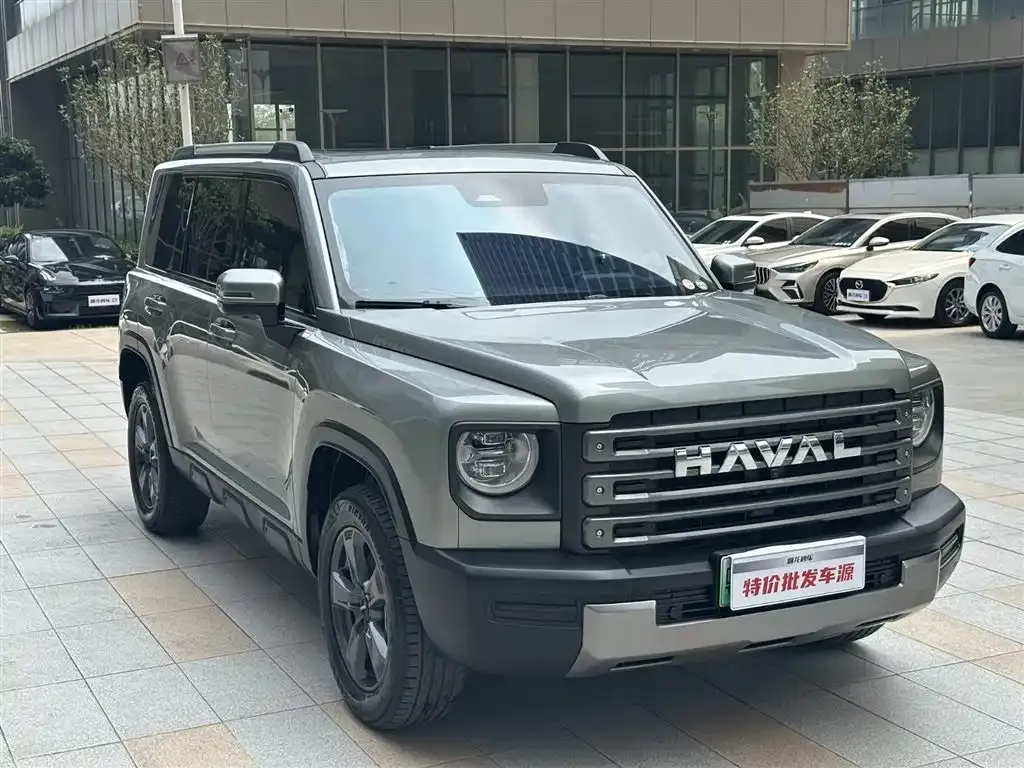 Haval Menglong New Energy 2024 из CN, фото 7