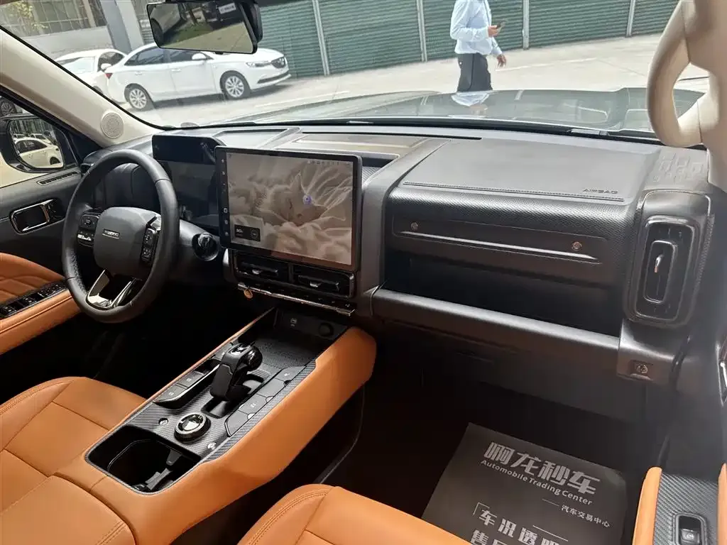 Haval Menglong New Energy 2024 из CN, фото 8