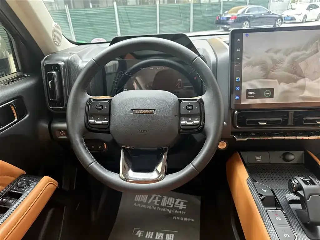 Haval Menglong New Energy 2024 из CN, фото 9