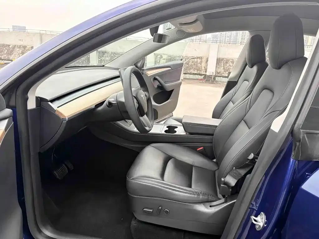 Tesla Model Y — фото 3