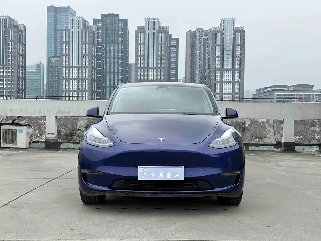 Tesla Model Y — фото 9