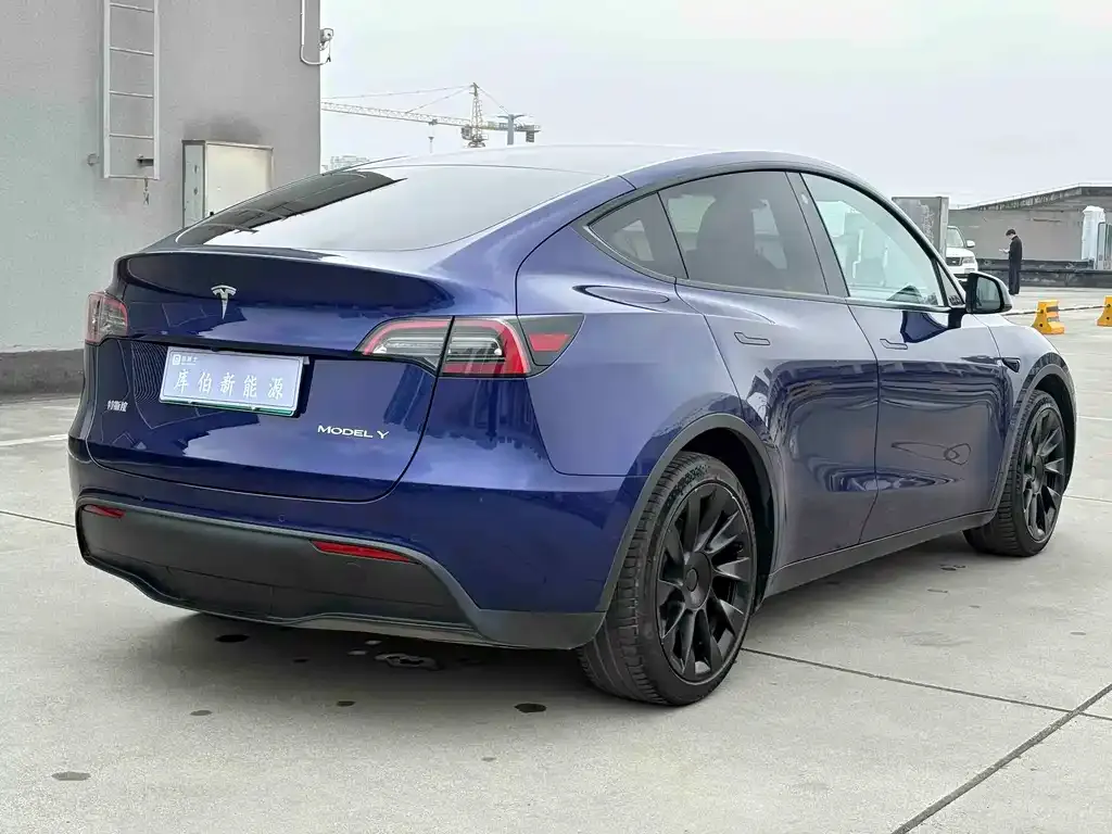 Tesla Model Y — фото 6