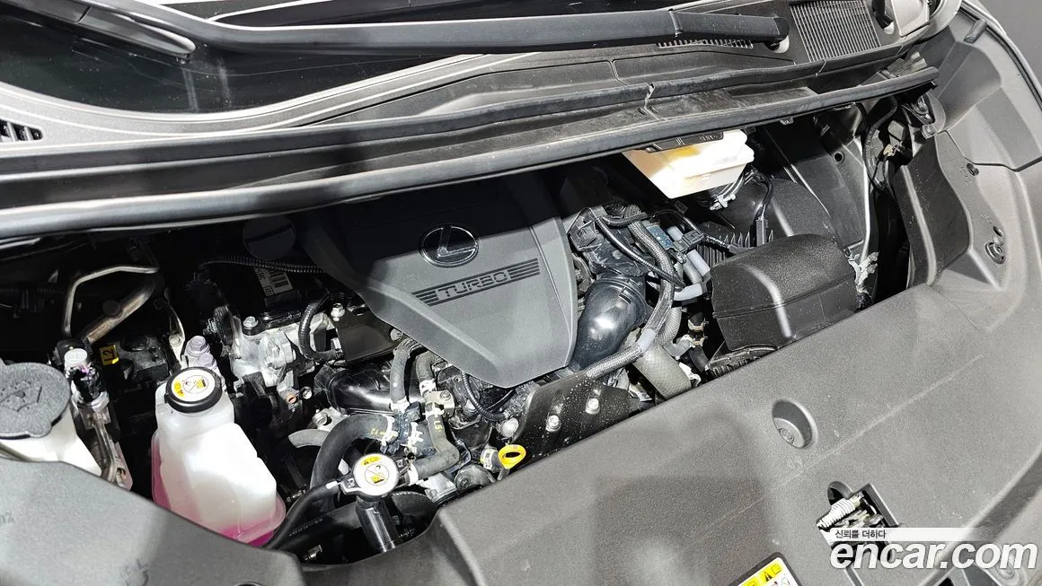 Lexus LM 2025 из KR, фото 7