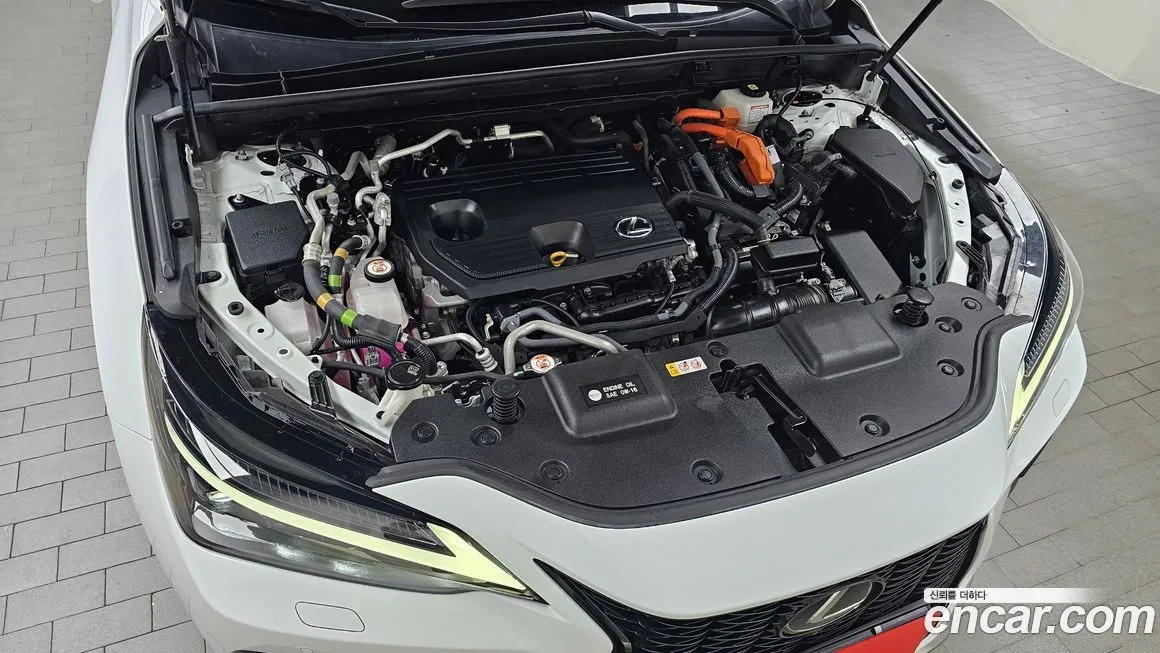 Lexus NX 2022 из KR, фото 8
