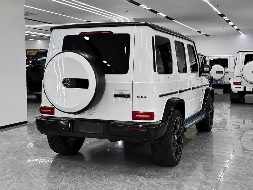 Mercedes-Benz G-Class — фото 9