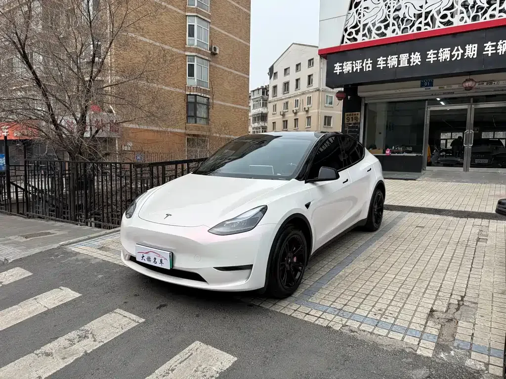 Tesla Model Y — фото 1
