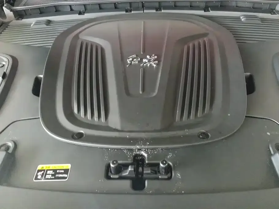 Hongqi E-HS9 2023 из CN, фото 5