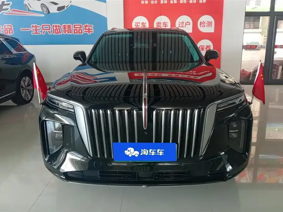 Hongqi E-HS9 2023 из CN, фото 10