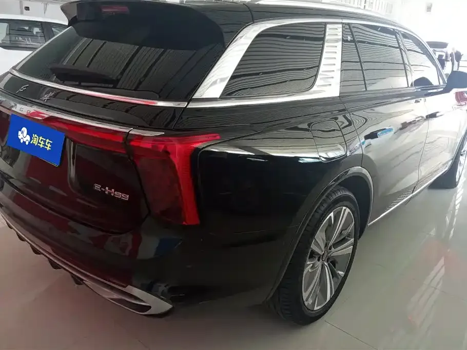 Hongqi E-HS9 2023 из CN, фото 8