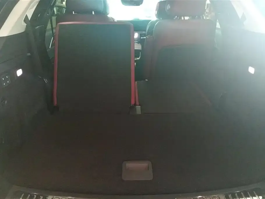 Hongqi E-HS9 2023 из CN, фото 3