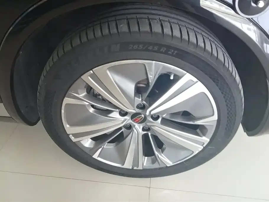 Hongqi E-HS9 2023 из CN, фото 6