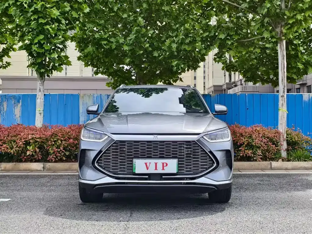 BYD PLUS New Energy 2024 из CN, фото 5