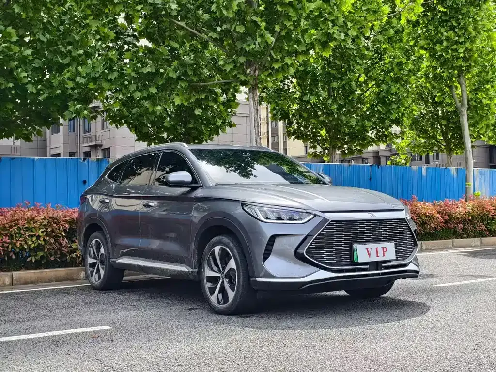 BYD PLUS New Energy 2024 из CN, фото 6