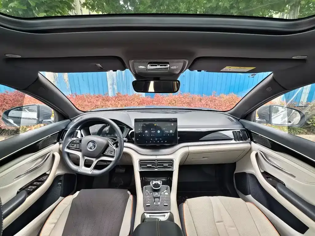 BYD PLUS New Energy 2024 из CN, фото 3