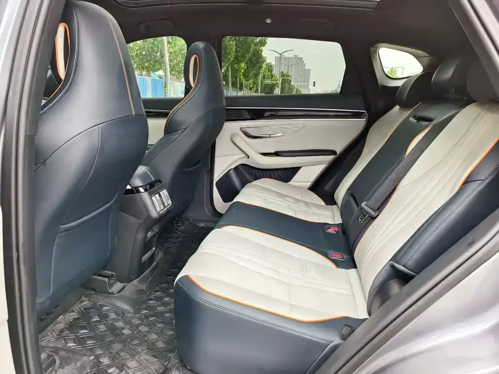 BYD PLUS New Energy 2024 из CN, фото 2