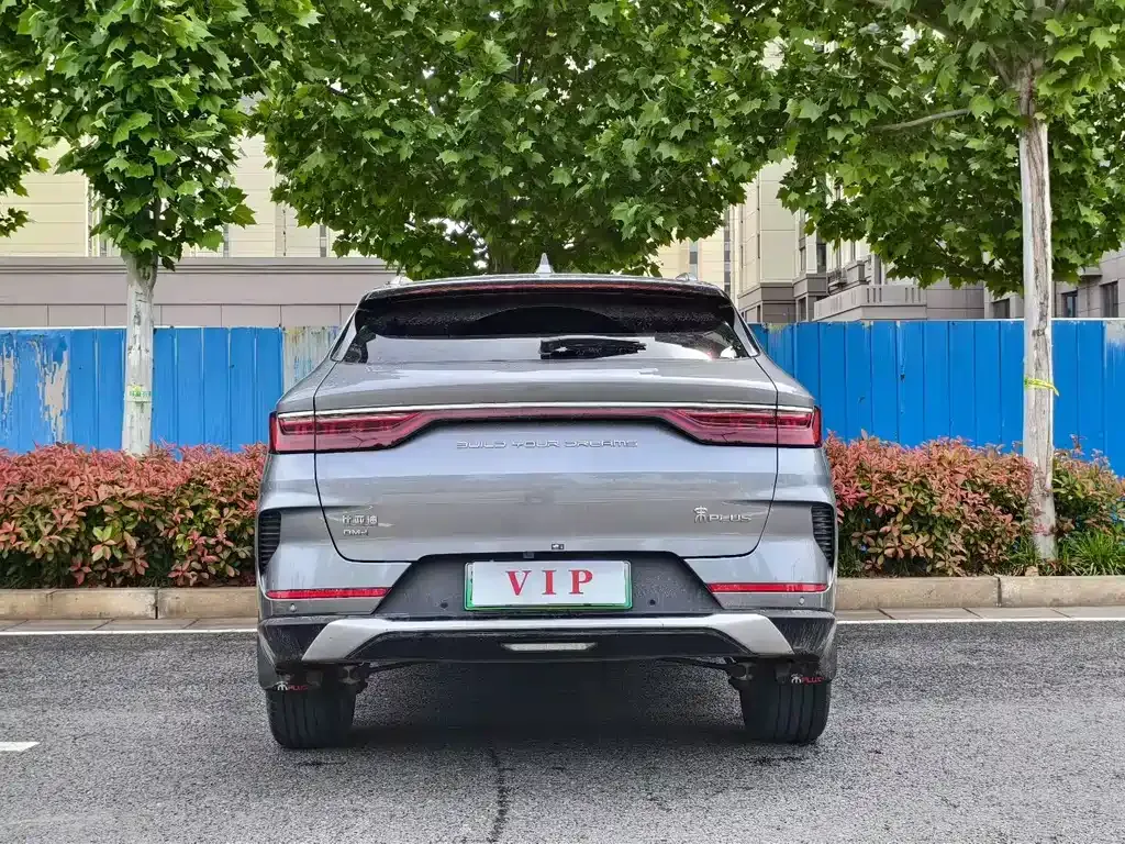 BYD PLUS New Energy 2024 из CN, фото 7