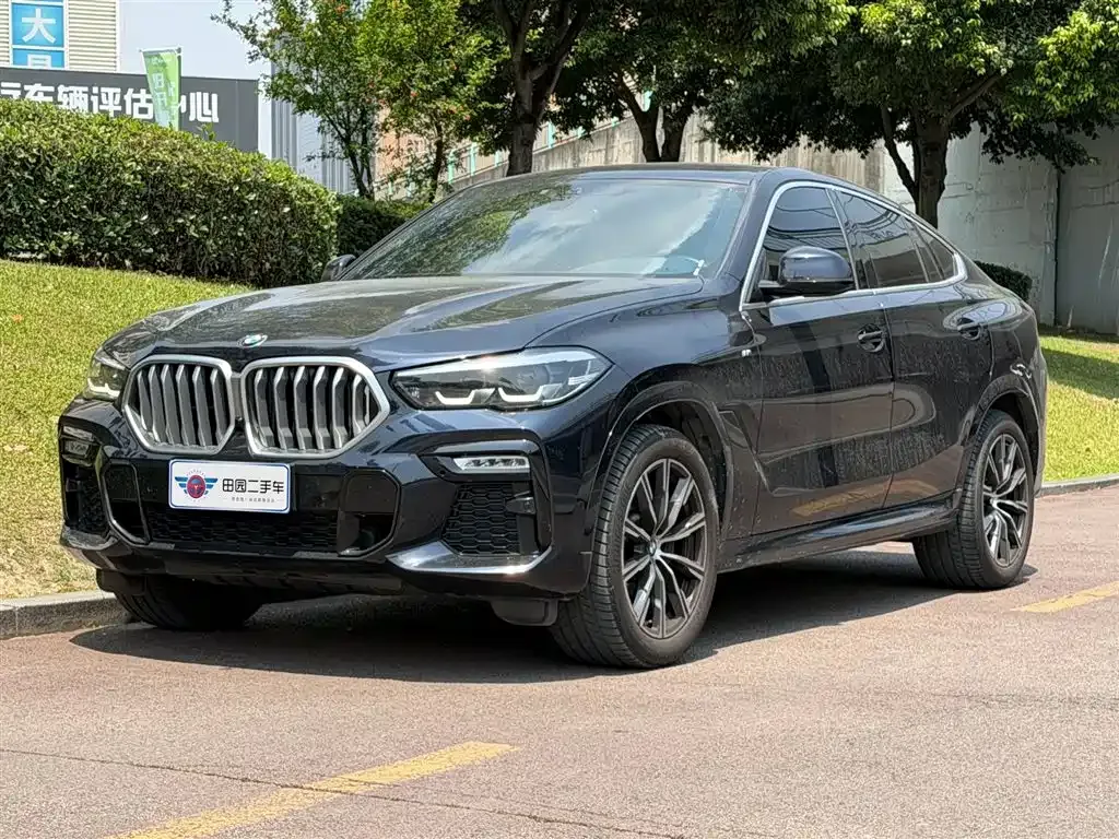 BMW X6