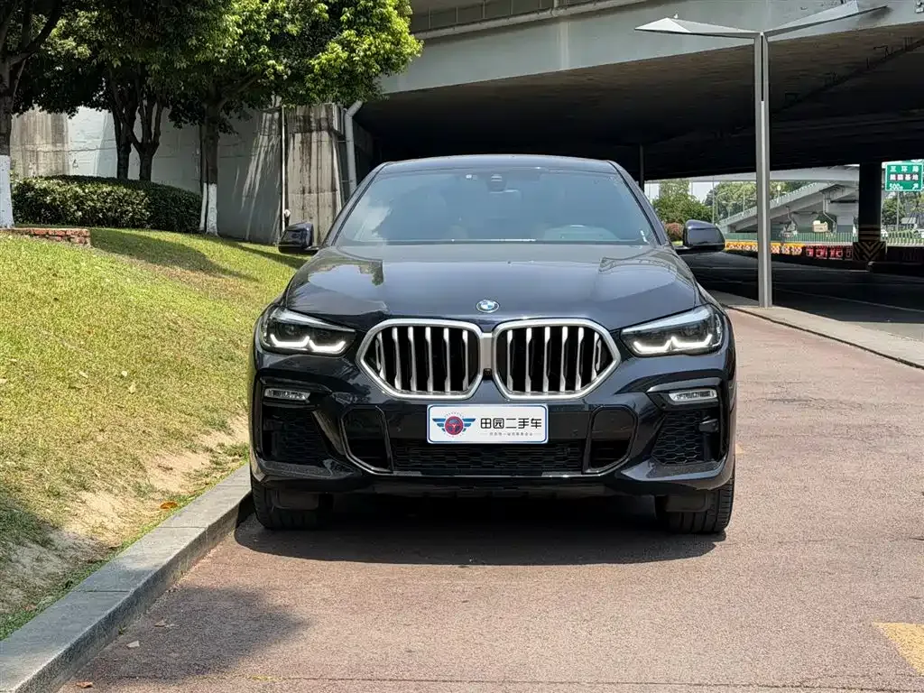BMW X6 2021 из CN, фото 8