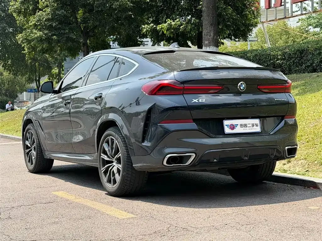 BMW X6 2021 из CN, фото 9